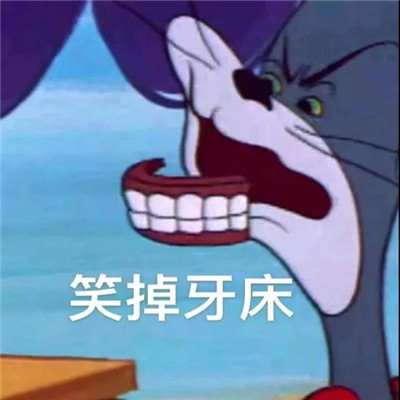 超级的幽默又超级的有趣表情大全 打字好累不聊了(图4)