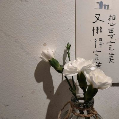 意境唯美背景，y棉耳日记(图7)