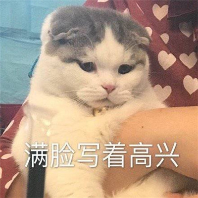 心情很好满脸写着开心的表情包 很开心很欢乐的聊天表情(图7)