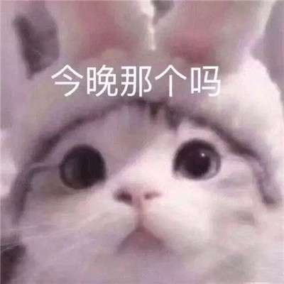 2021又污又可爱的表情包 上了我的车你可跑不掉了(图7)