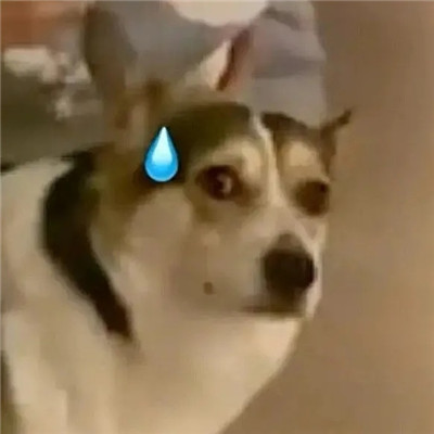 实用的微信超可爱的表情精选 超萌超热门的qq聊天表情(图9)