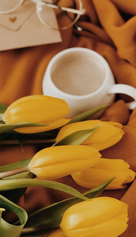 值得收藏的热门又很有质感的壁纸 气质型很受欢迎的皮肤(图7) 值得收藏的热门又很有质感的壁纸 气质型很受欢迎的皮肤(图7)