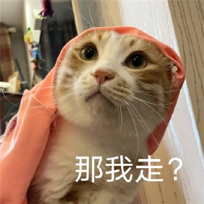 最新版热门的那我走表情包 很火很热门的表情大全(图6)