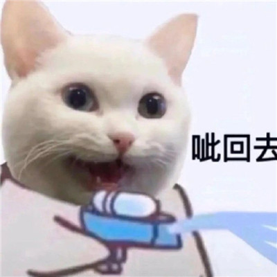 感受可爱暴击的可爱表聊天情包 超级软萌的有趣表情合集(图8)