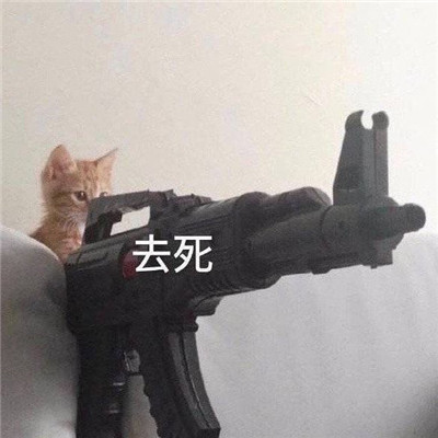 很实用的斗图沙雕表情精选合集 全网超级火的爆笑表情大全(图3)