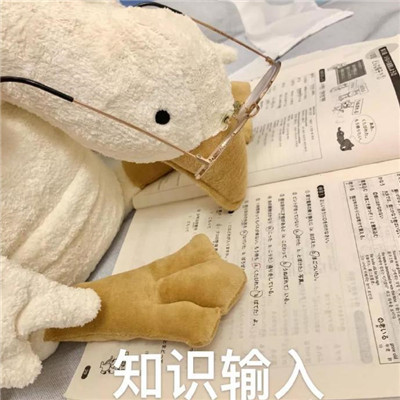 2021超级可爱的笨笨鹅表情包合集 抖音超级火的笨笨鹅表情(图3)