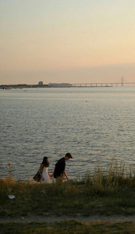 2021幸福又高级的520手机壁纸 超级甜蜜的520皮肤大全(图1)