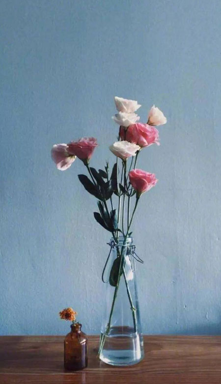 清冷超级唯美的好看风景手机壁纸 总会遇到好看的壁纸所以也会遇到好事的啦(图6) 清冷超级唯美的好看风景手机壁纸 总会遇到好看的壁纸所以也会遇到好事的啦(图6)