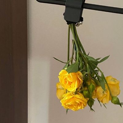 意境/hua/会期待下次见面吗(图1)