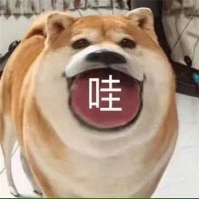 最新的有趣微信聊天表情大全 超级热门的好笑聊天表情(图4)