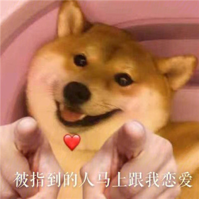 2021最新版狗狗指人表情大全 狗狗爆笑的聊天表情合集(图4)