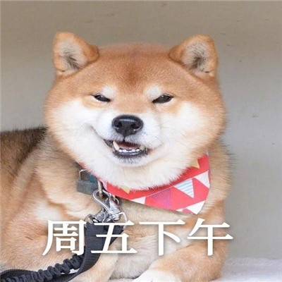 我的一周情绪变化搞笑表情 超级有趣的一周心情变化表情大全(图6)