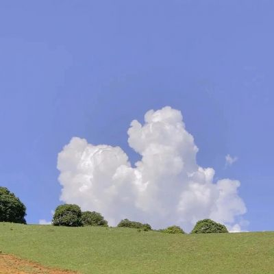 文字背景，y棉耳日记(图8)