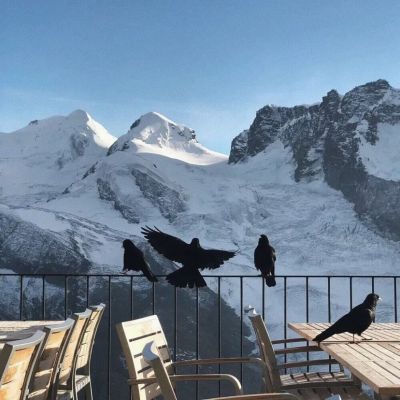 意境唯美背景，y棉耳日记(图10)