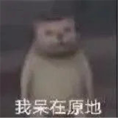 个性的超级有趣的微信聊天表情 只想做条闲鱼表情(图3)