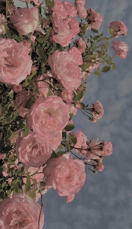 高清锁屏壁纸全面屏小清新 好看的壁纸当然要分享给大家啦(图7) 高清锁屏壁纸全面屏小清新 好看的壁纸当然要分享给大家啦(图7)