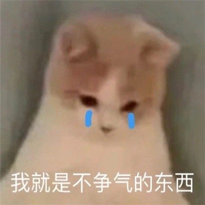 超级萌超级可爱的表情最新版 喝杯热水一切都会好的(图6)