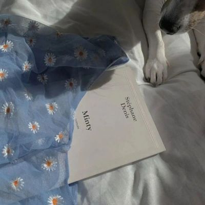 意境唯美背景，y棉耳日记(图8)