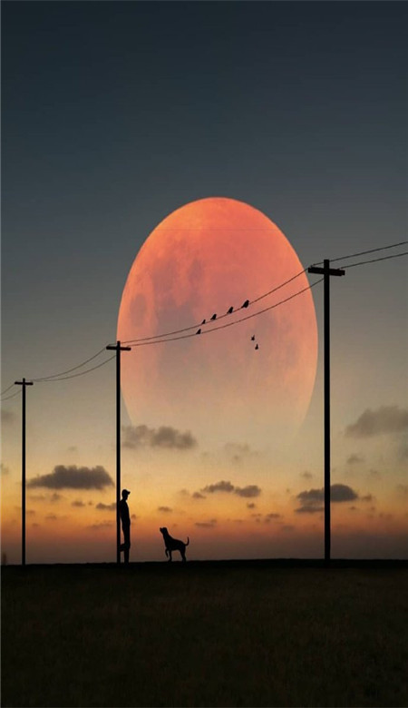 难过伤感的男生深沉皮肤 人类的悲欢并不相通(图6)