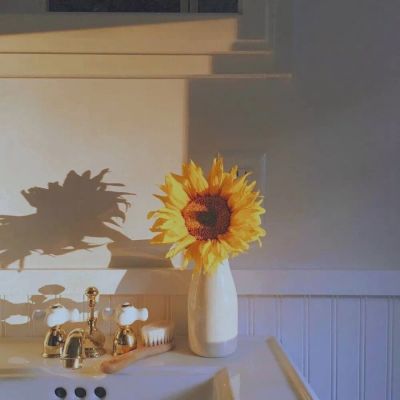 意境唯美背景，y棉耳日记(图5)