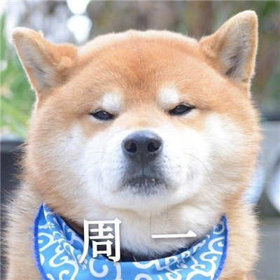 我的一周情绪变化搞笑表情 超级有趣的一周心情变化表情大全(图1)