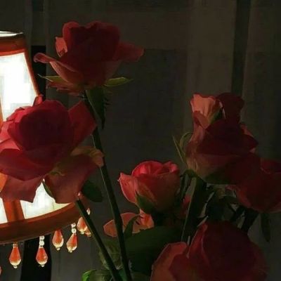 都过去了，花也隐了，梦也醒了，前路如何? 便摘也何曾戴?(图7)