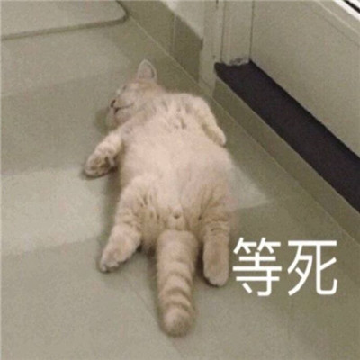 很实用的斗图沙雕表情精选合集 全网超级火的爆笑表情大全(图9)