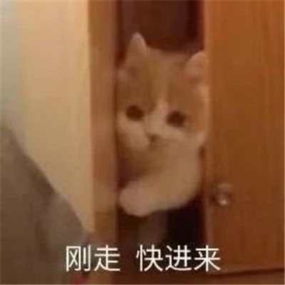 感受可爱暴击的可爱表聊天情包 超级软萌的有趣表情合集(图7)