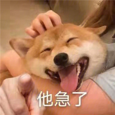 2021最新版狗狗指人表情大全 狗狗爆笑的聊天表情合集(图5)