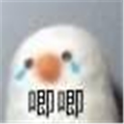 感受可爱暴击的可爱表聊天情包 超级软萌的有趣表情合集(图2)