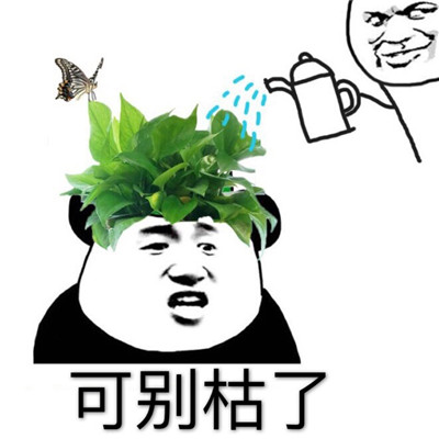 绿帽子表情包斗图专用 抖音最火戴绿帽表情包大全(图2)