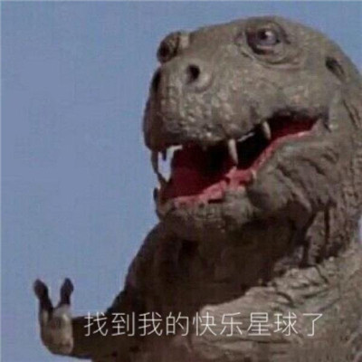 聊天必备的搞很有意思的表情包 微信超级有趣的斗图表情(图5)