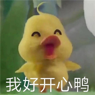 心情很好满脸写着开心的表情包 很开心很欢乐的聊天表情(图5)