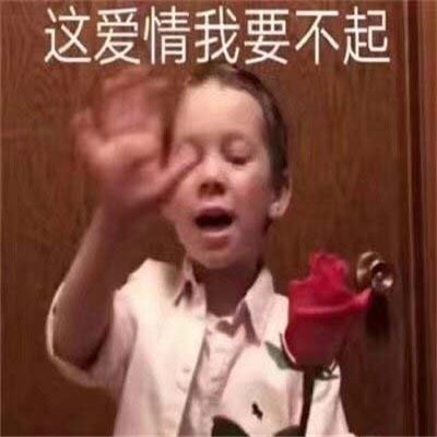 弱小可怜又无助的表情包 超级有趣的热门聊天表情大全(图8)