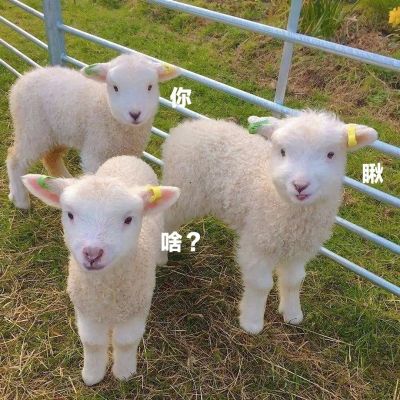 搞怪微信背景图♡热爱万象 爆炸开心(图5)