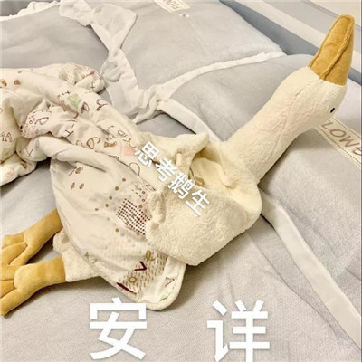 2021超级可爱的笨笨鹅表情包合集 抖音超级火的笨笨鹅表情(图4)