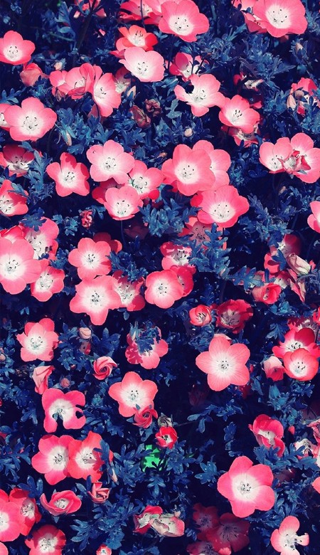 最新版很好看的全面屏锁屏壁纸 高清又很治愈的锁屏壁纸大全(图5) 最新版很好看的全面屏锁屏壁纸 高清又很治愈的锁屏壁纸大全(图5)