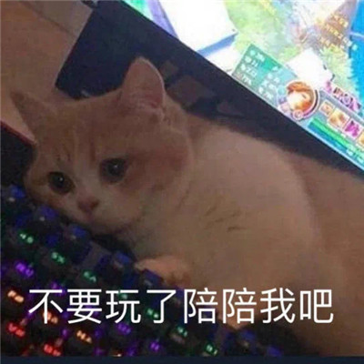 巨沙雕的巨搞笑的搞怪聊天表情大全 找不到表情包来描述我的心情(图7)