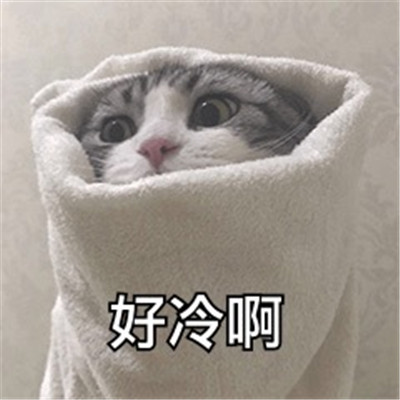 2021天冷不想起床的表情包 过段时间就要遭受到被窝的绑架了(图6)