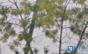 早安正能量语句68条(图1) 2021年早安正能量语句集合68条