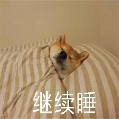 2021天冷不想起床的表情包 过段时间就要遭受到被窝的绑架了(图7)
