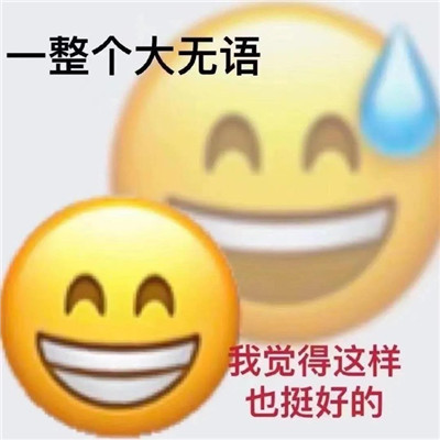 emoji双面表情包超级有趣 很有趣的热门的emoji双面表情合集(图5)