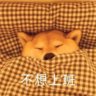 2021天冷不想起床的表情包 过段时间就要遭受到被窝的绑架了(图8)