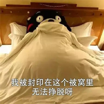 2021天冷不想起床的表情包 过段时间就要遭受到被窝的绑架了(图9)