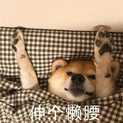 2021天冷不想起床的表情包 过段时间就要遭受到被窝的绑架了(图4)