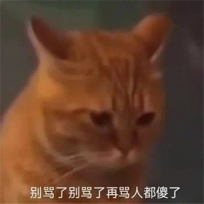 适合emo用的个性聊天表情包 很伤感的很难过的表情大全(图6)