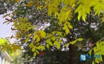 正能量早安句子(图1) 【推荐】2021年正能量早安句子集锦50句