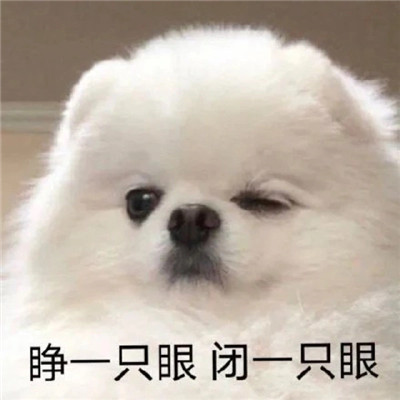 无水印很有趣的微信聊天表情 为我们的无语干杯(图7)