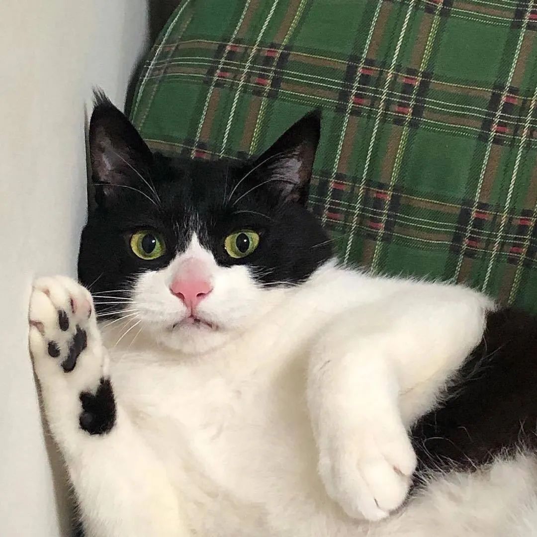 一批个性微信头像(图37) 一批个性微信头像