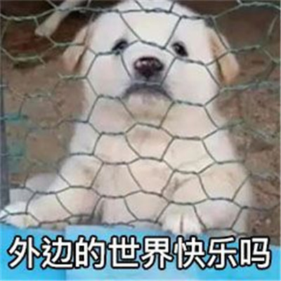 很有个性很可爱的微信表情大全 没回就是在收破烂(图1)